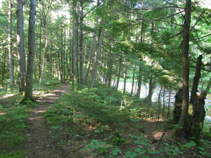 Appalachian Trail 