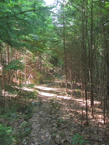 Appalachian Trail 