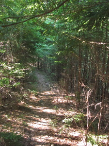 Appalachian Trail 