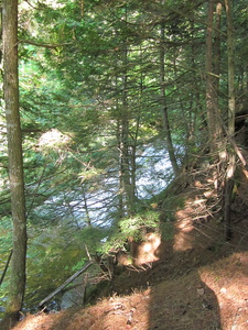 Appalachian Trail 