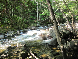 Appalachian Trail 