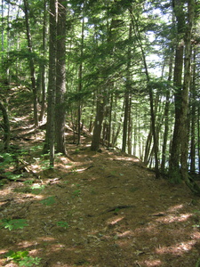 Appalachian Trail 