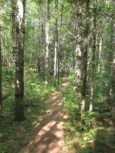 Appalachian Trail 