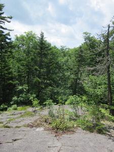 Appalachian Trail 