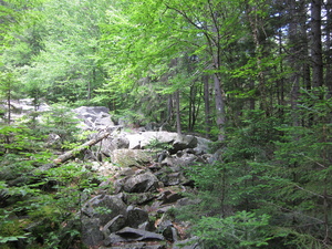 Appalachian Trail 