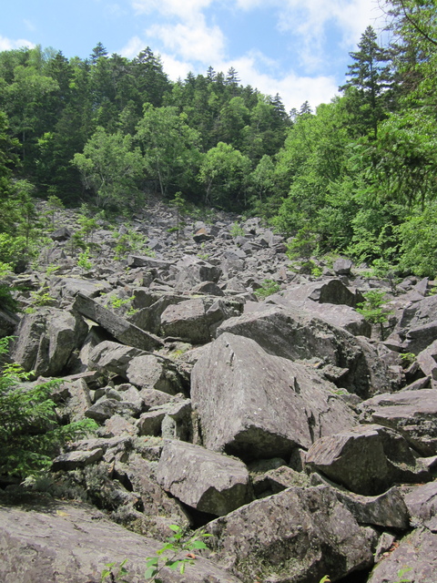 Appalachian Trail - 