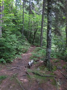 Appalachian Trail 