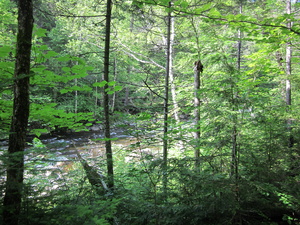 Appalachian Trail 