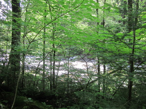 Appalachian Trail 