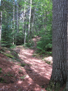 Appalachian Trail 