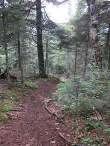 Appalachian Trail 