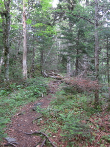 Appalachian Trail 