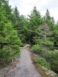 Appalachian Trail 