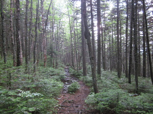 Appalachian Trail 