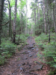 Appalachian Trail 