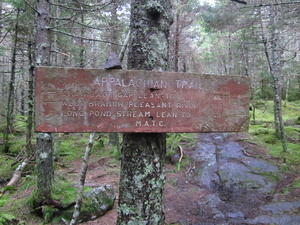 Appalachian Trail Cloud Pond Lean-t