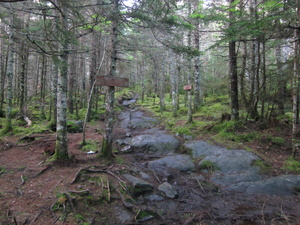 Appalachian Trail Back to the AT