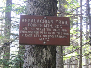 Appalachian Trail Fourth Mountain Bog