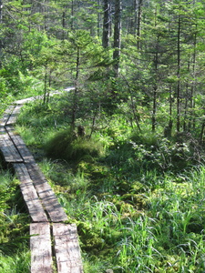 Appalachian Trail 