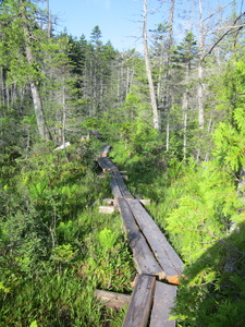 Appalachian Trail 