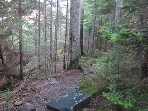 Appalachian Trail 