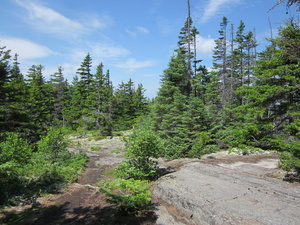 Appalachian Trail 