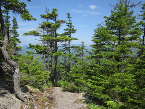 Appalachian Trail 