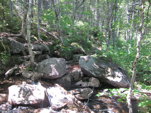 Appalachian Trail 