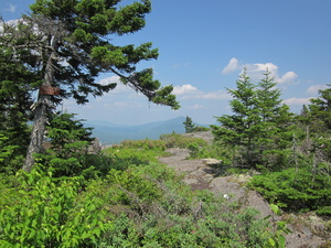 Appalachian Trail Chairback Mountain Elevation 2197 feet