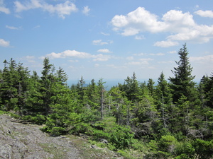 Appalachian Trail 