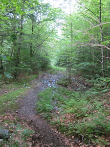 Appalachian Trail 