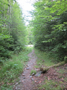 Appalachian Trail 