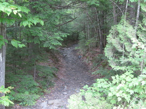 Appalachian Trail 