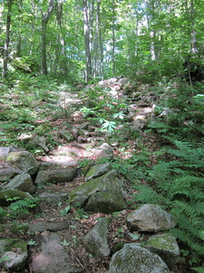 Appalachian Trail Rock steps