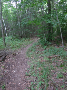 Appalachian Trail 