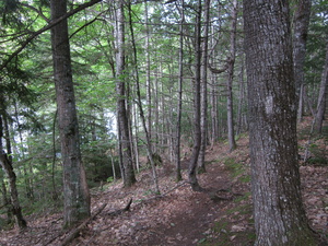 Appalachian Trail 
