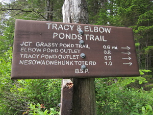 Appalachian Trail Tracy & Elbow Ponds Trail