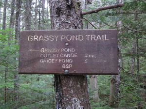 Appalachian Trail Grassy Pond Trail