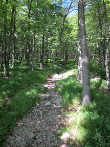 Appalachian Trail 