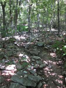 Appalachian Trail 