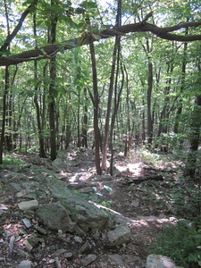 Appalachian Trail 