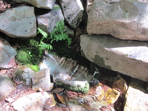 Appalachian Trail Spring at George W. Outerbridge Shelter