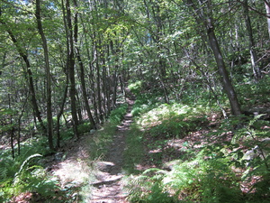 Appalachian Trail 