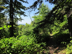 Appalachian Trail 