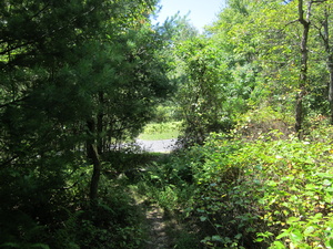 Appalachian Trail Access road to communication towers