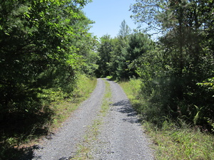 Appalachian Trail Road to communication towers