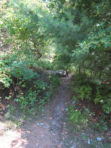 Appalachian Trail 