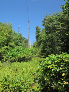 Appalachian Trail Powerline (40.780695, -75.610904)