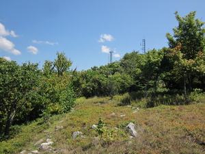 Appalachian Trail 